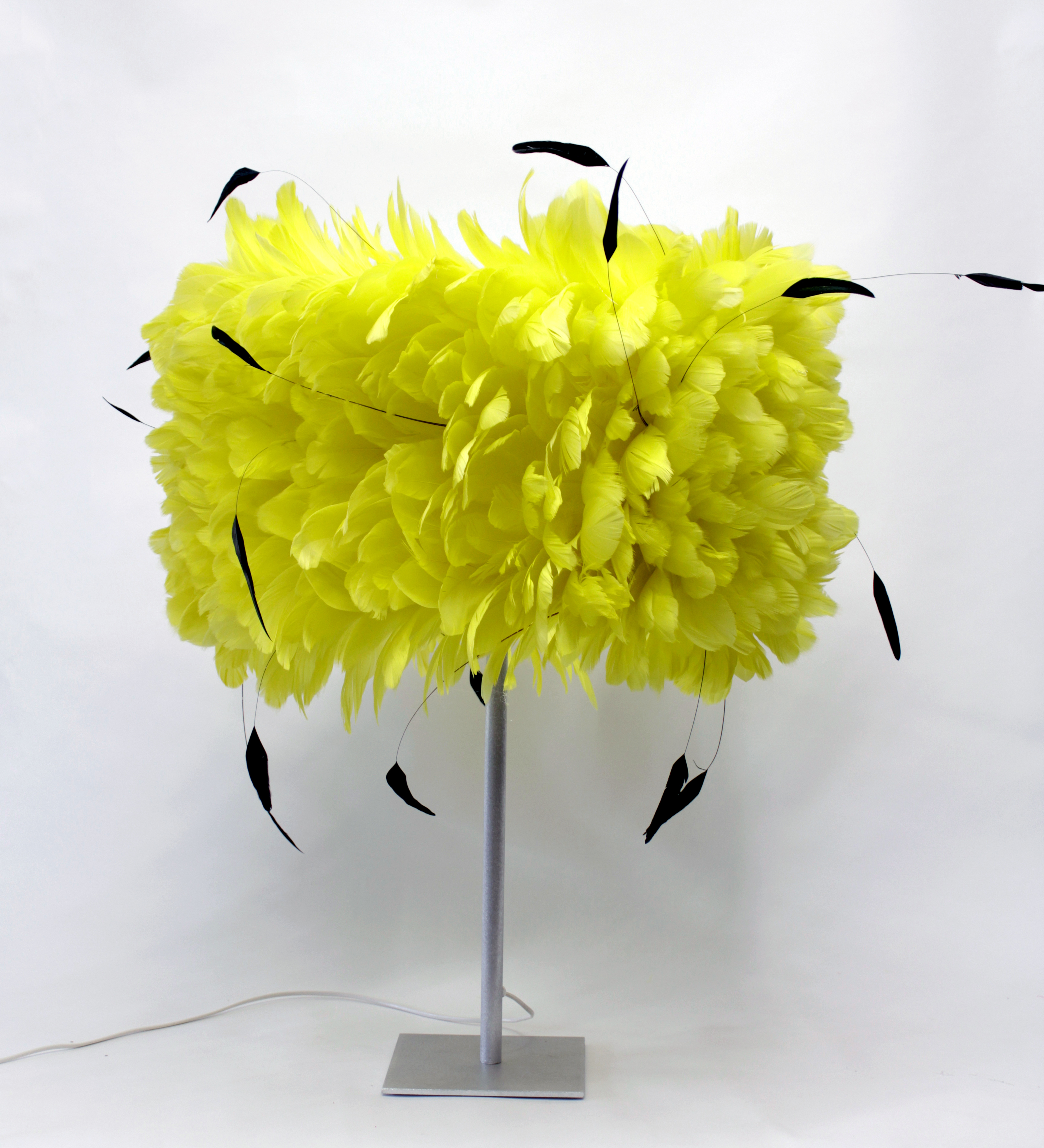 chnatilly jaune